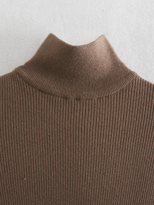 Women's Sweater Style High-Neck Dress - Bkinz Store